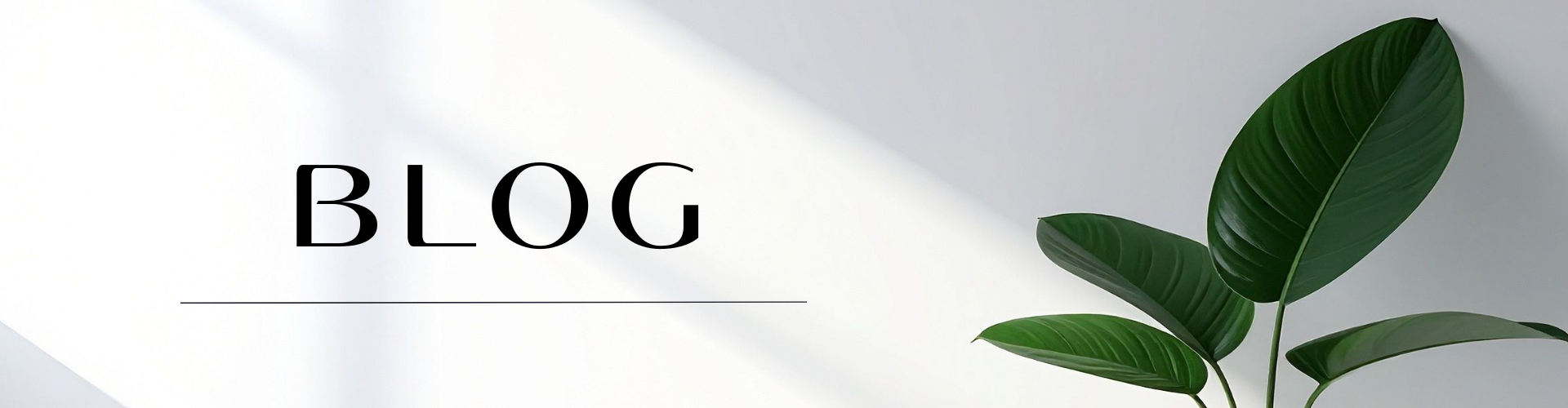 BLOG